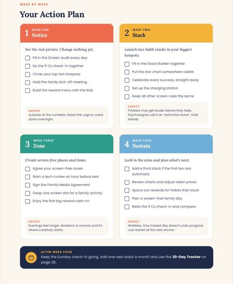 Action Plan